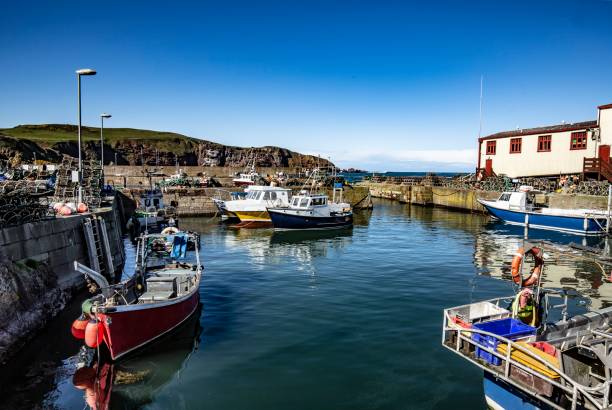 istock Fishing Boats & Scottish Harbour. 1324230993