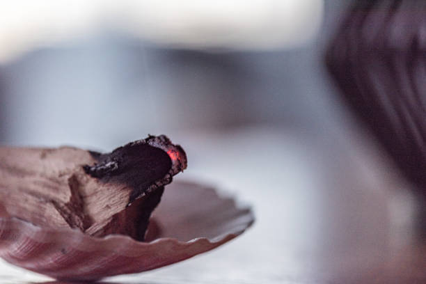 Palo Santo – Bursera Graveolens as holy tree sticks used in spirituality to clean homes from negative energy