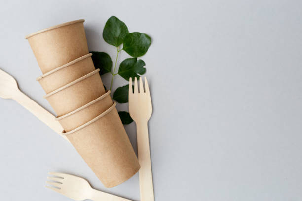 istock Eco friendly disposable dishes on gray background. Sustainable lifestyle concept. zero waste, plastic free, stop plastic pollution. 1324242369