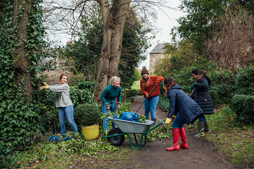 A diverse group of five women working together as a team on a community volunteer outreach project in Hexham in the North East of England enjoying themselves as they work together clearing a pathway and moving the garden waste to the composting area.