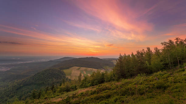 istock Colorful summer sunset in the northern black forest 1324251818