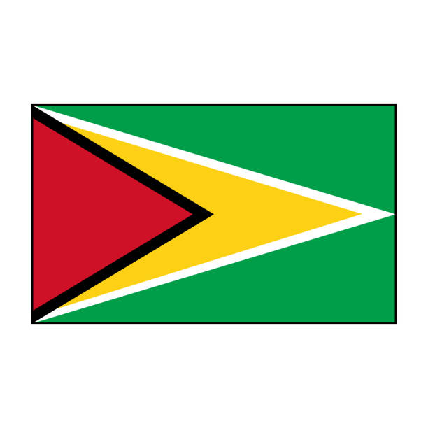 istock Co-operative Republic of Guyana Rectangle Flag Vector Icon Button for South American Concepts. 1324252905