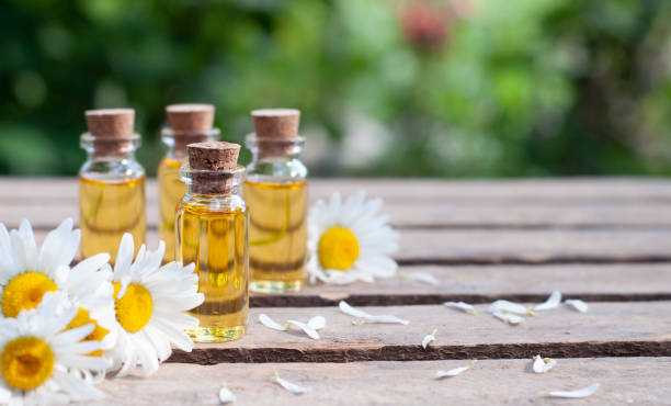butelki olejków eterycznych ze świeżymi kwiatami rumianku w naturze - chamomile plant daisy spa treatment chamomile zdjęcia i obrazy z banku zdjęć
