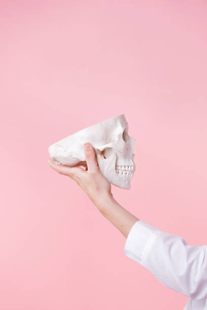 istock Neuroscience and psychotherapy, head health research. Human brain science, concept, 1324258256