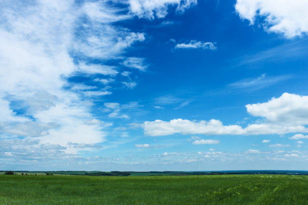 istock Green field and the sky with clouds 1324259198