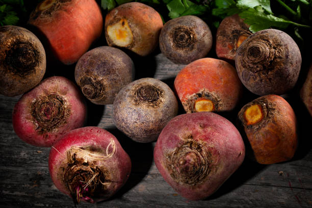 Root vegetable: Yellow and red beet on a wooden background