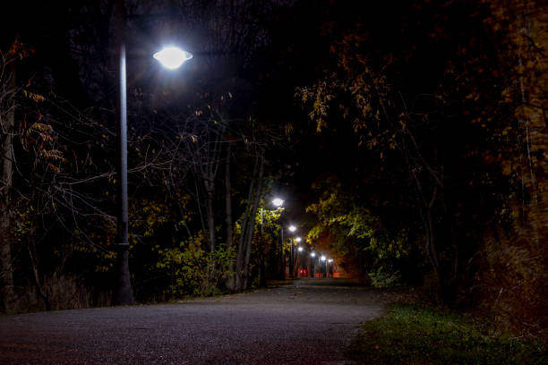 istock Dark Path Lit by Streetlamps 1324261525
