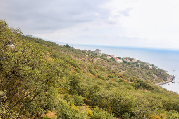 istock Black Sea coast near Foros. 1324264852