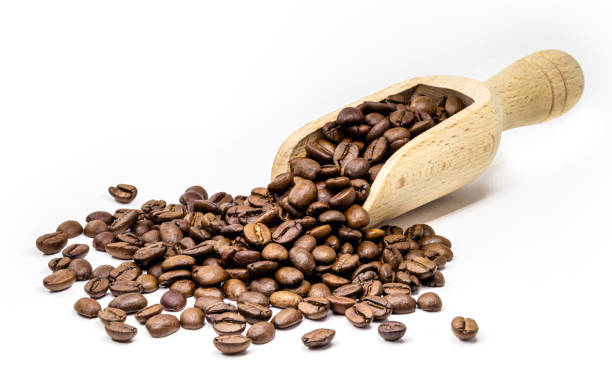 Arabica roasted coffee in brazilwood spoon, coffee seeds with copy space Arabica roasted coffee in brazilwood spoon, coffee seeds with copy space raw coffee bean stock pictures, royalty-free photos & images