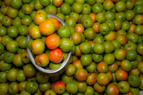 Mexican fruit