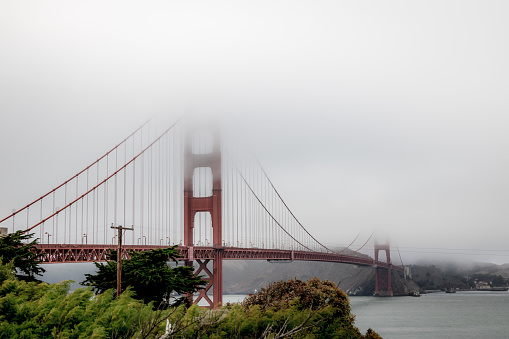 Dramatic view of cars driving big red bridge above Pacific Ocean during spring cloudy morning with flowers in San Francisco city, the United States