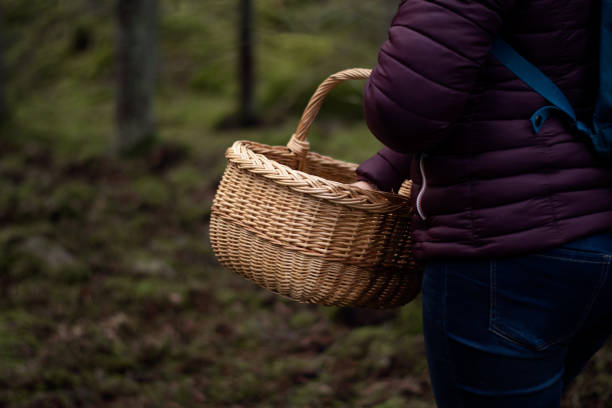 istock Person with basket picking mushrooms in the forest 1324269041