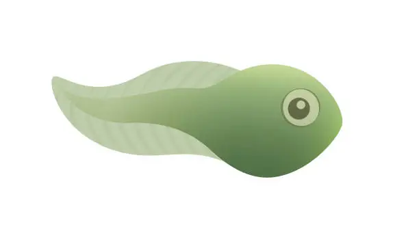Vector illustration of Comic tadpole, isolated vector illustration on white background.