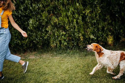 A happy young adult woman enjoys time at a park with her dog running, playing, and relaxing with the dog.