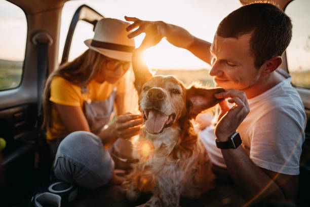 istock Loving couple is playing with their dog 1324272570