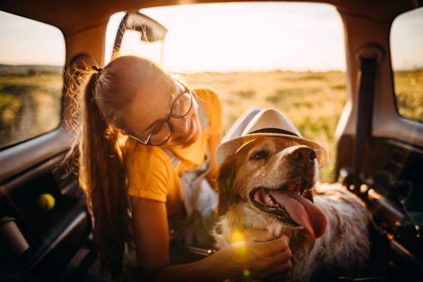 istock I like to travel everywhere with you 1324272661