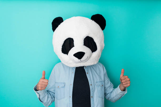 istock Optimistic man in panda mask with thumbs up against blue background. Success sign doing positive gesture with hands 1324275843