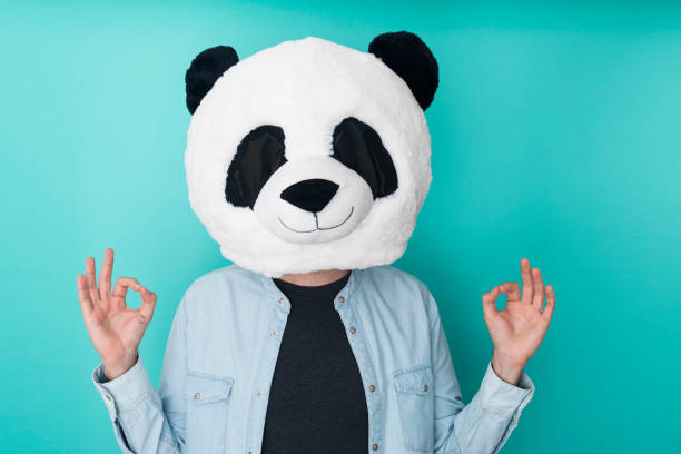 istock Young man wearing panda mask over isolated aquamarine studio background in zen pose 1324275848