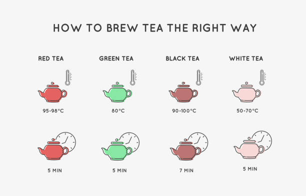 ilustrações, clipart, desenhos animados e ícones de ícones de linha. tipos de chá. como preparar chá corretamente. ilustração vetorial. - tea cup tea green tea chinese tea