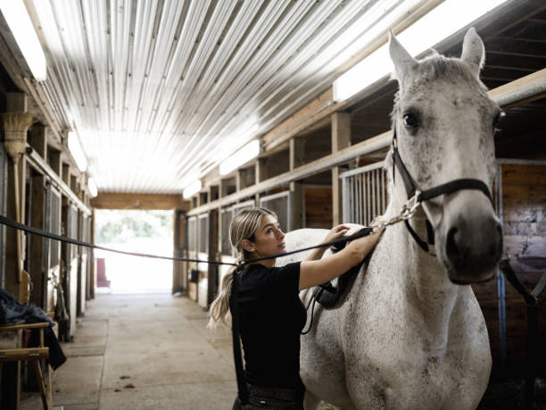 istock Young female trainer prepping her horse 1324284280