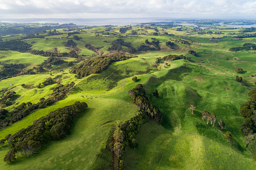 Auckland countryside aerial view in New Zealand