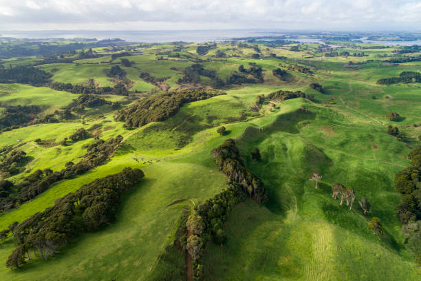 Auckland countryside aerial view in New Zealand Auckland countryside aerial view in New Zealand Waitemata Harbor stock pictures, royalty-free photos & images
