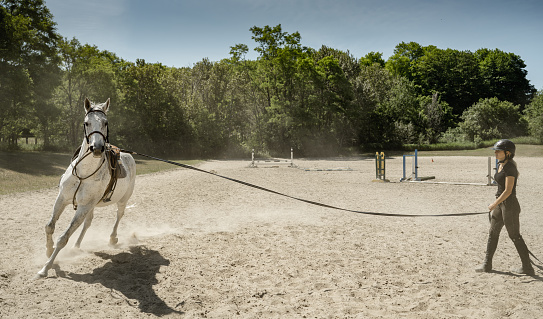 Young female trainer exercising her horse at the outdoor paddock. She is wearing horse riding helmet, pants and t-shirt with her long hair in pony tail. Exterior of rural farm in Ontario, Canada.