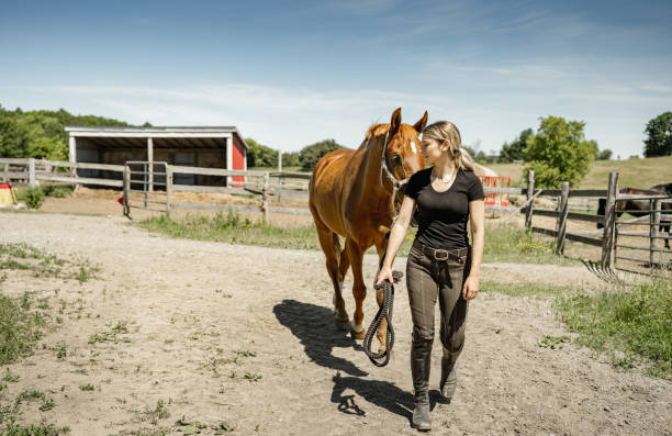 istock Young female trainer with her horse 1324284584