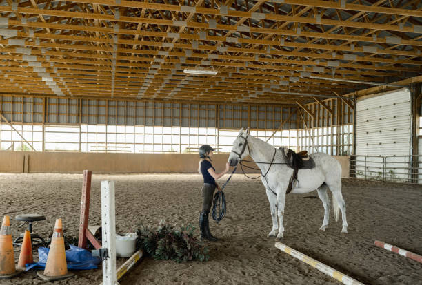 istock Young female trainer prepping her horse 1324284636