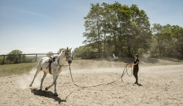 istock Young female trainer exercising her horse 1324284690