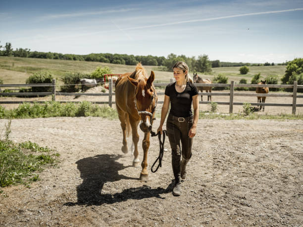 istock Young female trainer with her horse 1324284781