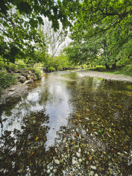 istock Shallow stream with crystal clear water at Elterwater, Ambleside 1324288043