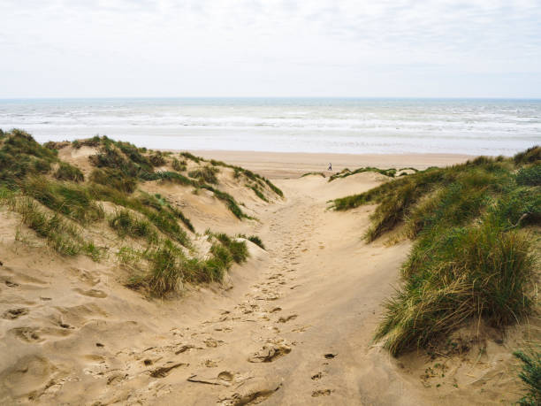 istock Land and sea 1324289114