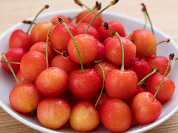 istock Japanese cherries 