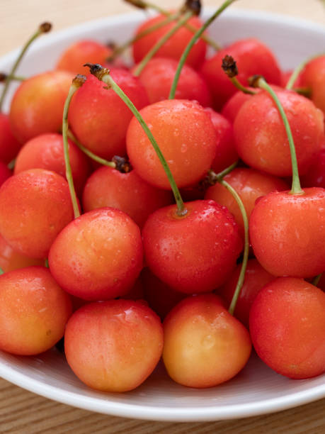 istock Japanese cherries 