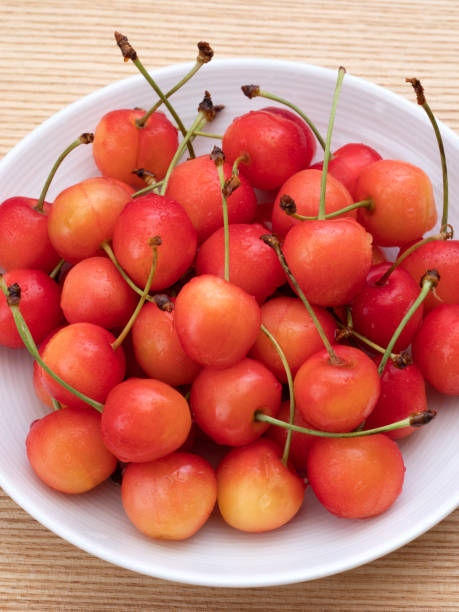 istock Japanese cherries 