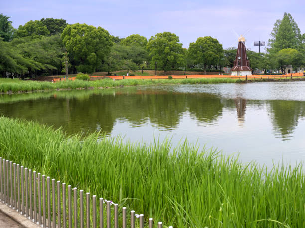 parque ukima en tokio - barrio de itabashi fotografías e imágenes de stock