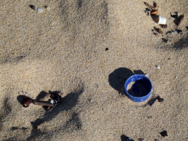 istock Blue plastic water bottle top in the sand 1324301282