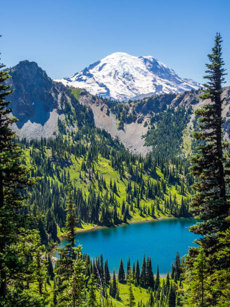 Crystal Lake with Mount Rainier on background Crystal Lake with Mount Rainier on background mt rainier national park stock pictures, royalty-free photos & images