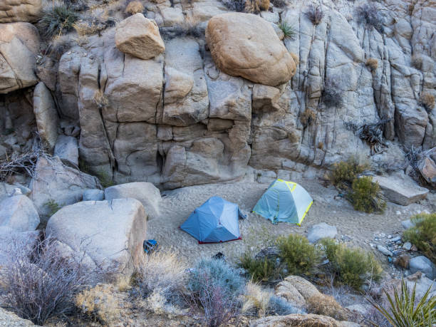 istock Backcountry camping in Joshua Tree National Park 1324308395