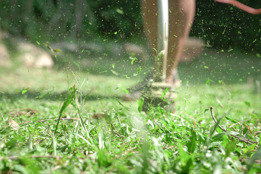 Grass cutting. Man using grass trimmer to mow lawn. Defocused. Machine in motion and grass particles in the air.