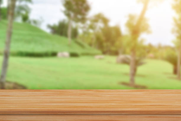 istock Empty wood table top over blur green nature background for product display or montage. 1324309255