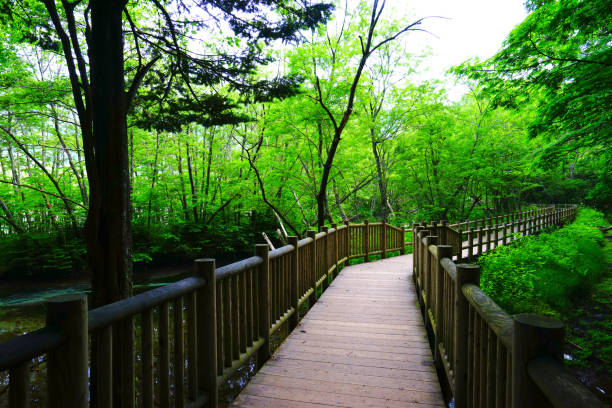 istock Kamikochi, Nagano Pref., Japan 1324309350