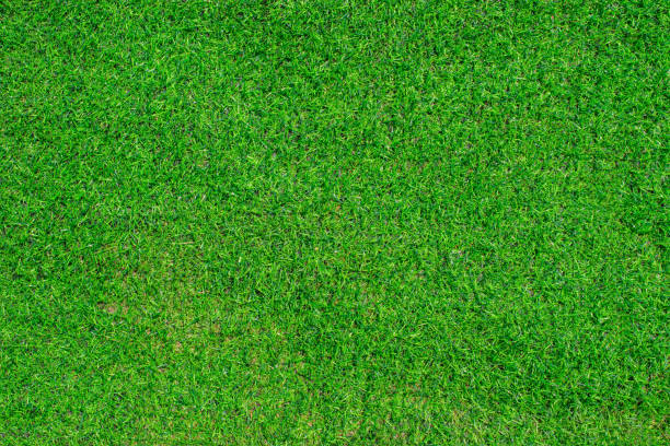 istock Green grass texture background. Top view of sport background. 1324309406