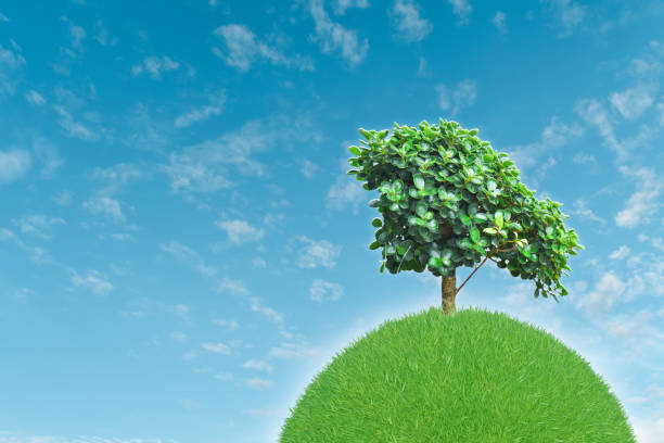 Green planet covered grass with a tree over blue sky background.