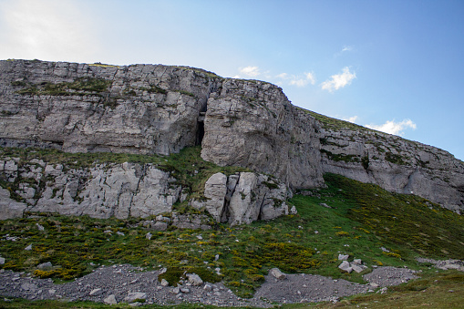 Magical forest climbing the highest Mountain