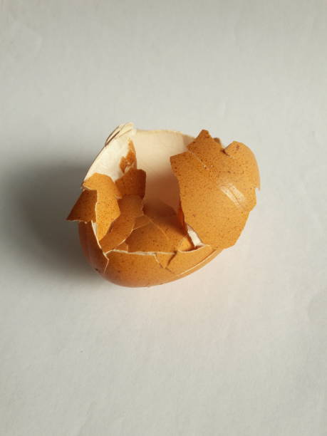 istock photo of eggshell texture lying on the table 1324314976