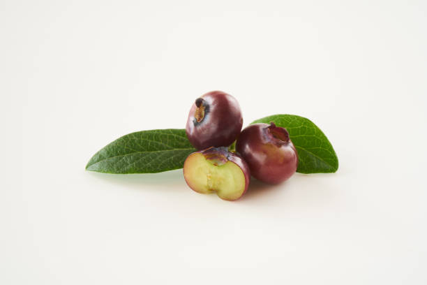 istock blueberry fruits on white background 1324316590