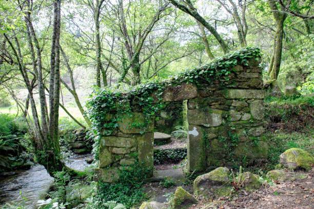 istock Abandoned river mill covered by moss and vegetation 1324317378