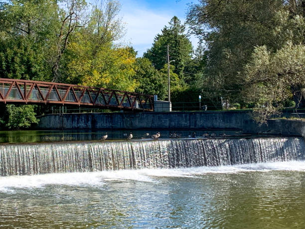 istock Enabling Garden and Riverside Park, Guelph, Ontario, Canada 1324320790